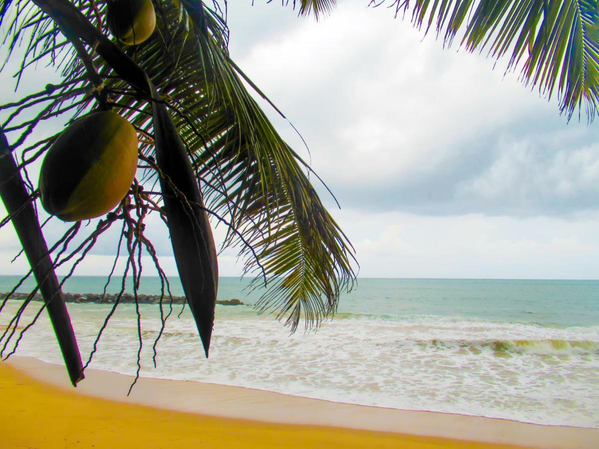 Shanika Beach Inn 탕갈레 외부 사진